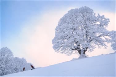 Image for: Myoko Suginohara Ski Resort